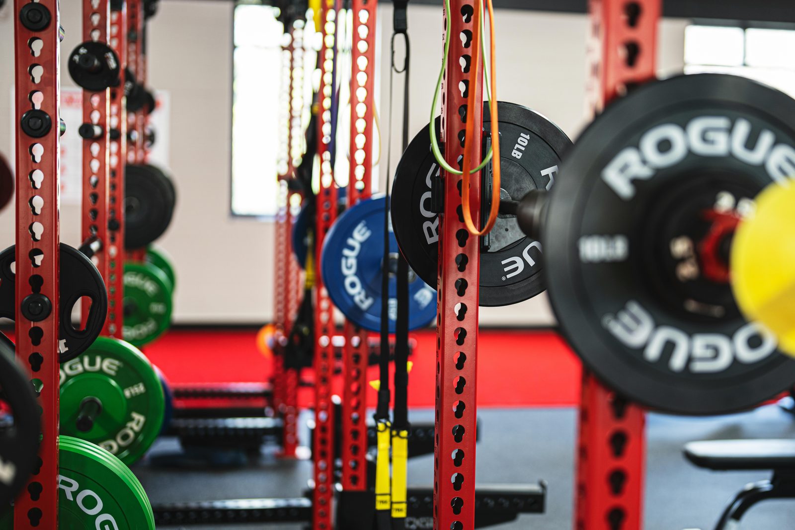 Fitness & Wellness
